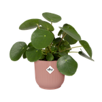 vibes fold rond 35cm delicaat roze